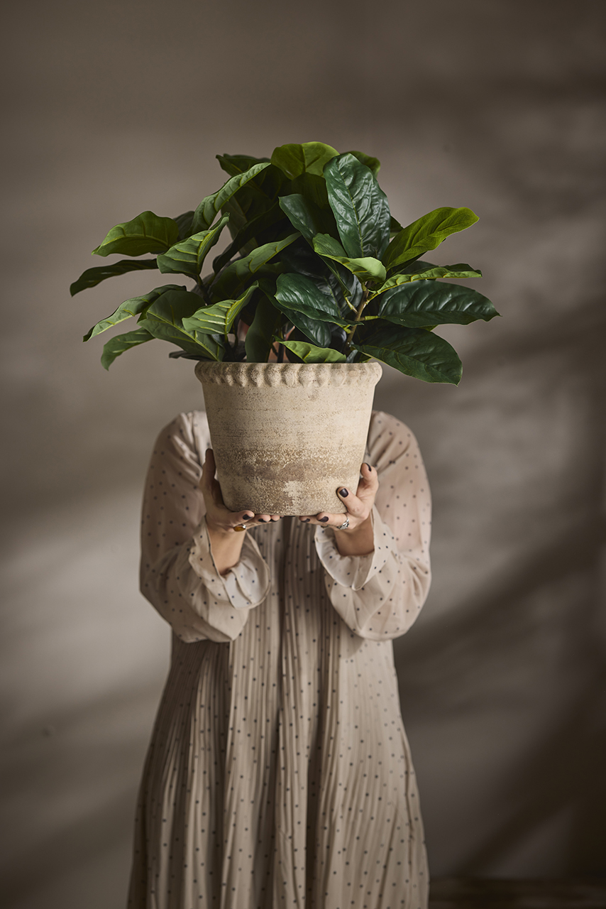 /images/imagebankSeasons/small/Mr Plant AW24/1650-90-1.jpg